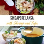Singapore laksa with shrimp, tofu, and rice noodles in a bowl