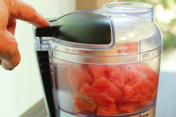 wild salmon cubed in a food processor