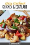 Szechuan chicken and eggplant dish on a white plate
