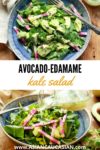 avocado-edamame kale salad in a blue bowl with a fork and avocado on the side