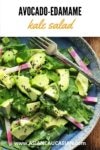 avocado-edamame kale salad in a blue bowl with a fork on the side