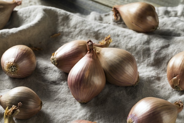 whole shallots on a linen cloth