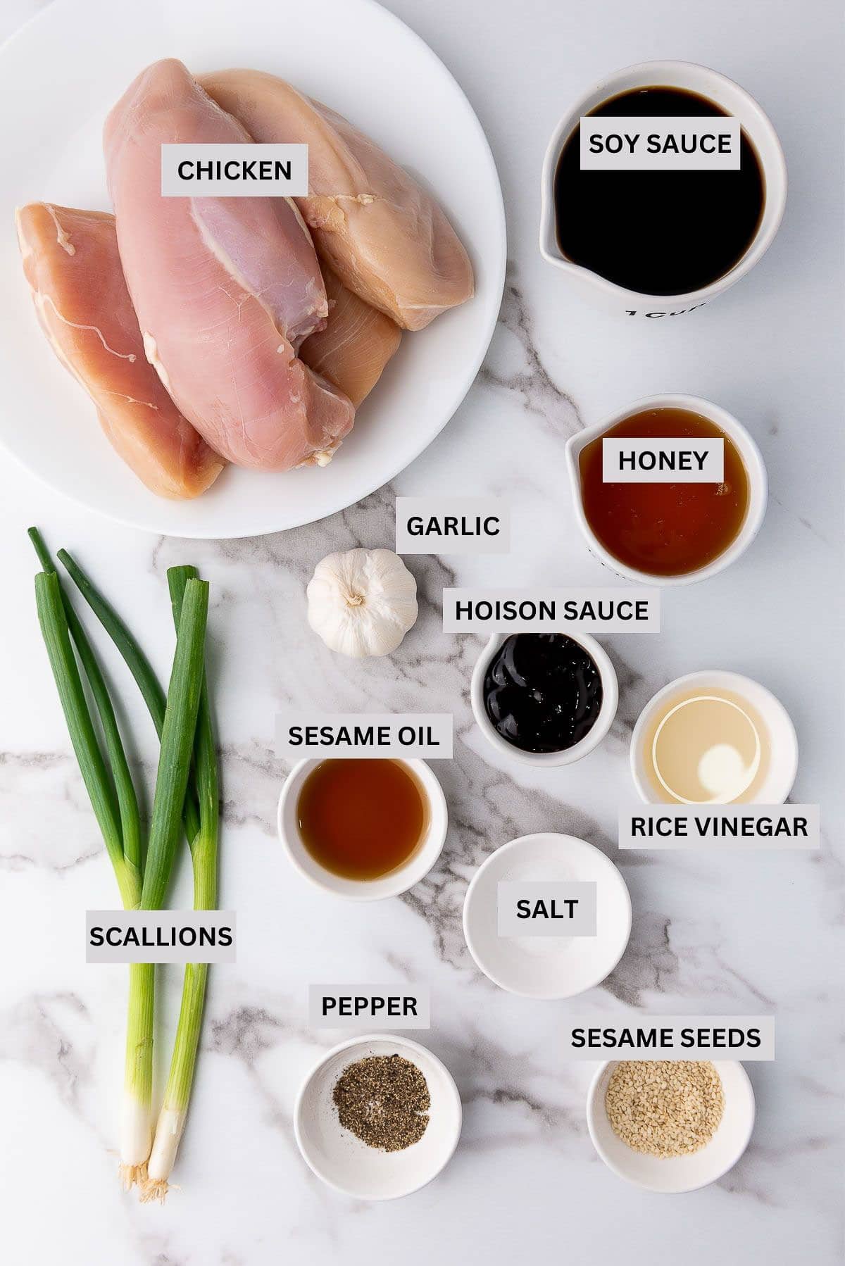 Labeled ingredients in white bowls on top of a marble surface, with stalks of scallions on the side.